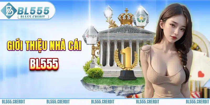 Tổng quan về giấy phép hoạt động của BL555